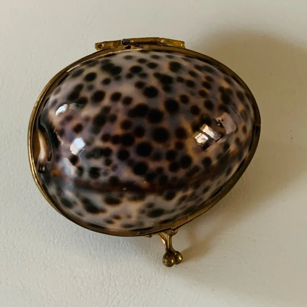 Shell trinket box with brass rim